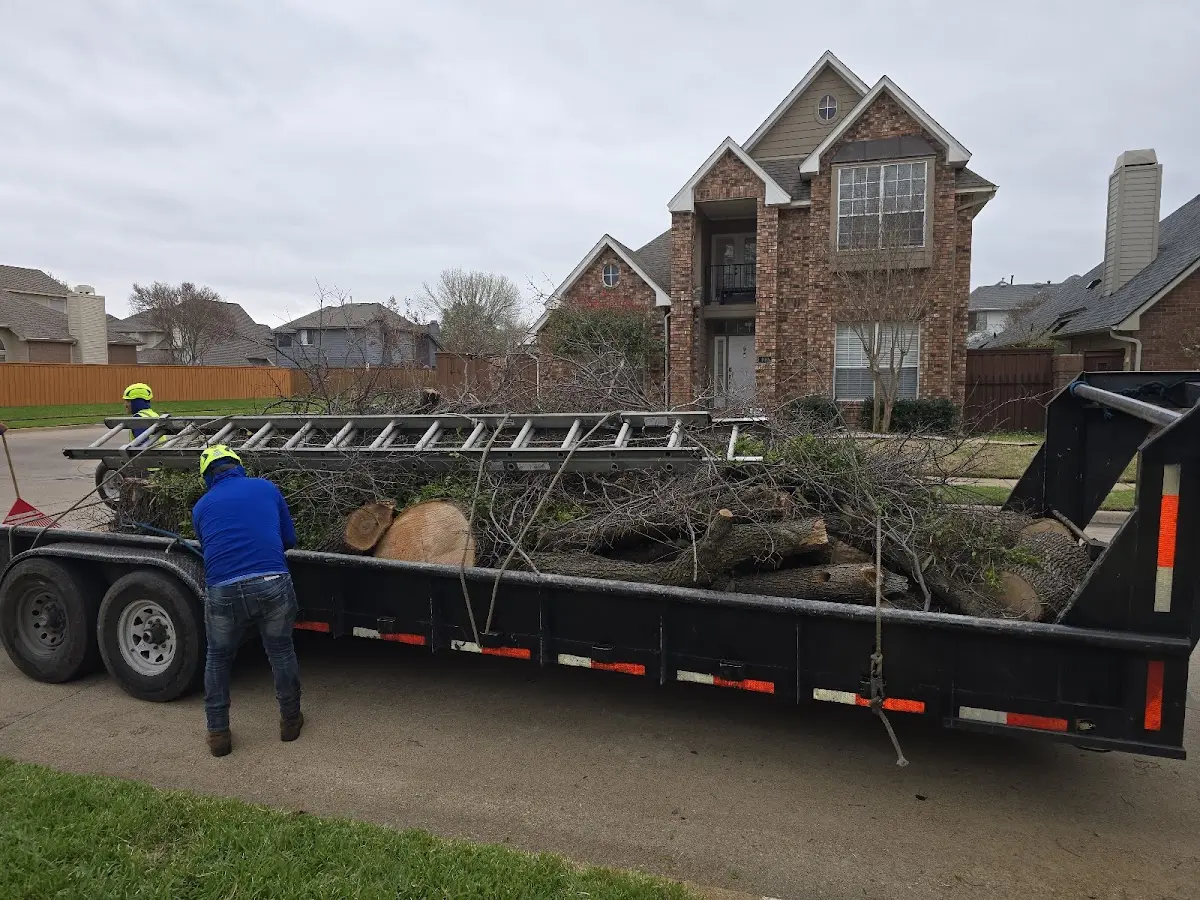 Expert Tree Removal with proper safety equipment in Marianna